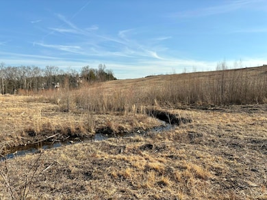 3855 Fall Creek Rd, Branson, MO 65616 - photo 7