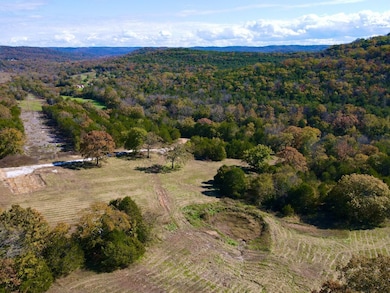 6040 Highway 187, Eureka Springs, AR 72631 - photo 5