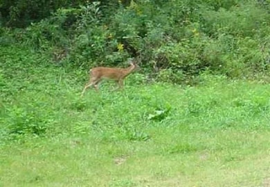 LOT 11 Honeysuckle Estates, Richmond, IN 47374 - photo 4