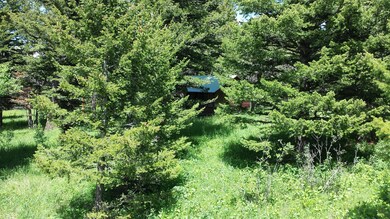 0 Us Highway 89 unit 328205, Saint Mary, MT 59401 - photo 7