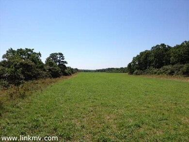 42 W Farm Rd, West Tisbury, MA 02575 - photo 6