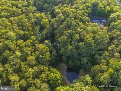 2996 Cherry Run Rd, Hedgesville, WV 25427 - photo 5