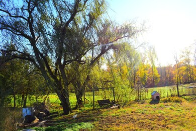 134 Mckeehan Ln, Rock Island, TN 38581 - photo 2