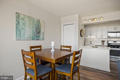 Park Princess/Logan Park unit 913, Washington, DC 20005 - photo 6