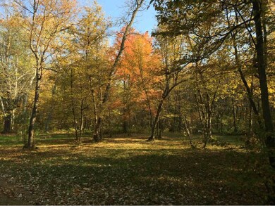 Site Overlooking Lake