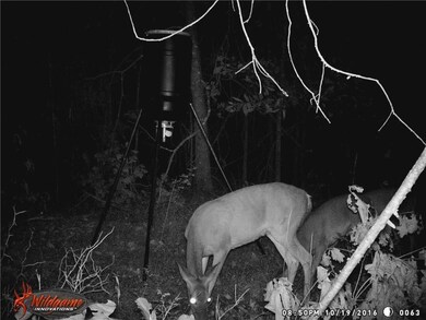 14136 Savoy Rd, Fayetteville, AR 72704 - photo 6