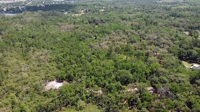 0 Bobcat Ln unit MFRO6298320, Osteen, FL 32738 - photo 2