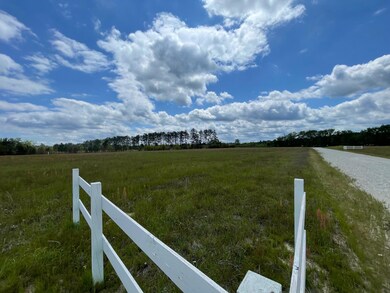 105 Rambling Ln, Cross, SC 29436 - photo 6