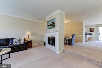 1812 Locust Grove Rd, Silver Spring, MD 20910 - photo 5
