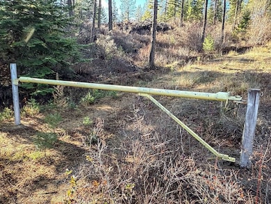 Rd, Springdale, WA 99173 - photo 2