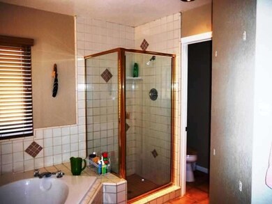 Master bathrooom with separate shower