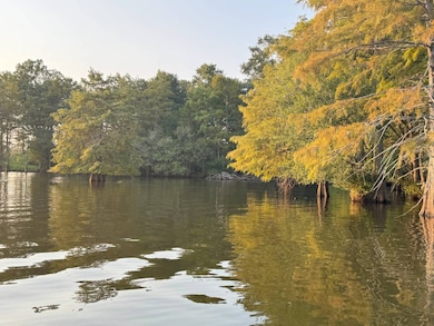 0 Timberland unit 11542662, Many, LA 71449 - photo 6