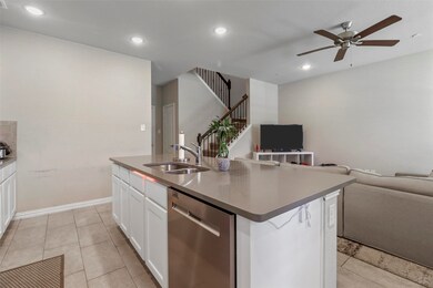 Sink & Dishwasher on Island