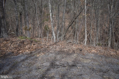 0 Nicklaus Dr unit VASH2007924, Basye, VA 22810 - photo 3