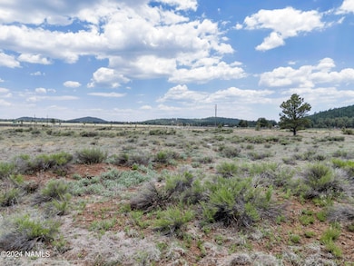 TimberCreekImagery-9