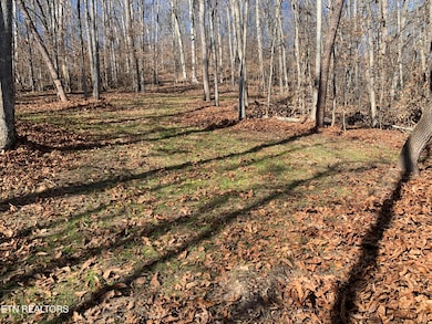 0 Mountain Shores Rd, New Tazewell, TN 37825 - photo 2