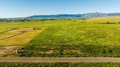 003_dji_20240606071110_0017_d_559