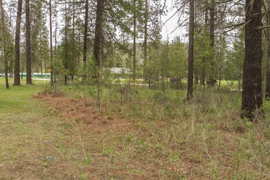 202 Eagle Dr, Chewelah, WA 99109 - photo 3