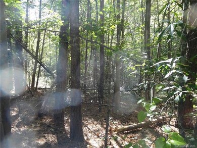 168 Watering Trough Rd, Statesville, NC 28677 - photo 4