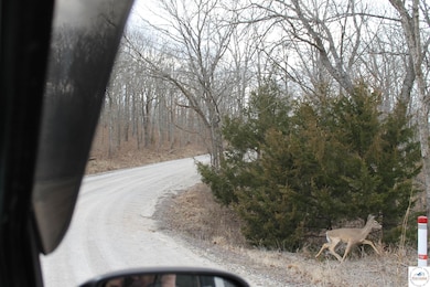 0 Toriyama Place unit Lot 3694 101125, Edwards, MO 65326 - photo 3