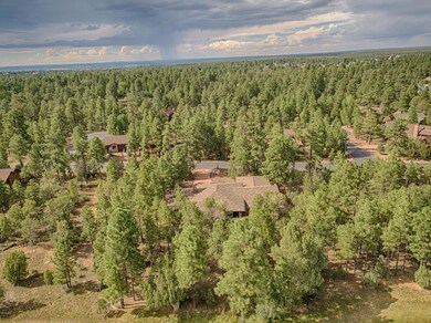 Lots of Trees on Property