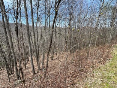 675 Bluemist Way, Arden, NC 28704 - photo 7