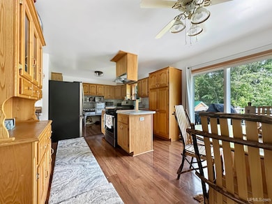 4380 Michigan 67, Chatham, MI 49816 - photo 4