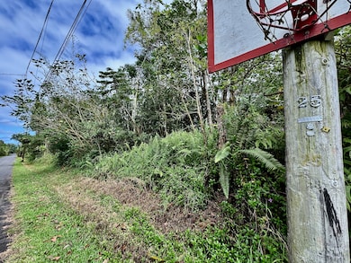 0 Nohea St unit 717620, Pahoa, HI 96778 - photo 4
