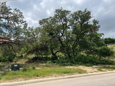 23403 Nina Ridge, San Antonio, TX 78255 - photo 4