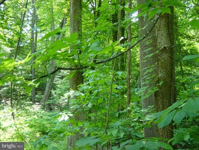 0 Drum Cliffs Rd Raspberry Ln unit MDSM169920, Hollywood, MD 20636 - photo 6