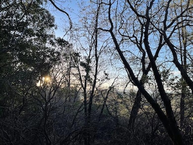 160 Acres Donkey Mine and Madison, Oak Run, CA 96069 - photo 4