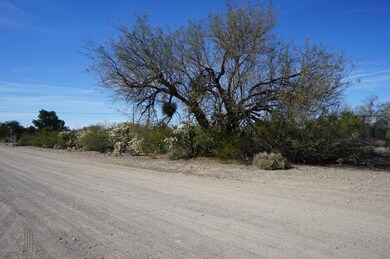DSC00656