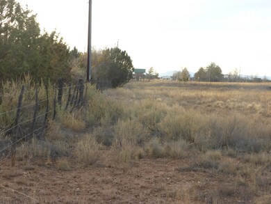 25350 N Naples St, Paulden, AZ 86334 - photo 3