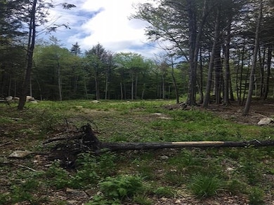 206-012 Lost River Rd, Woodstock, NH 03262 - photo 6