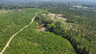 + - 130 Acres unit Simpson County MS, New Hebron, MS 39149 - photo 2