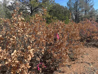 0 Summer Dr unit 171889, Timberon, NM 88350 - photo 7