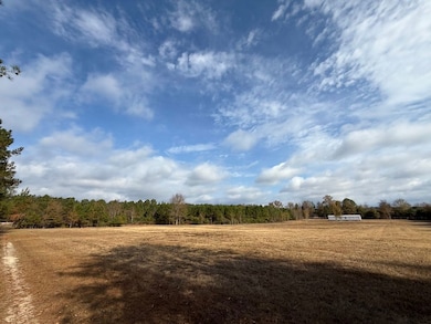 Sc Hwy 39 unit LotWP001, Williston, SC 29853 - photo 2