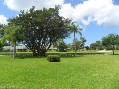 BACKYARD VIEW