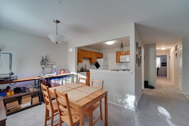 160 Stirling Ln unit X1, Schaumburg, IL 60194 - photo 7