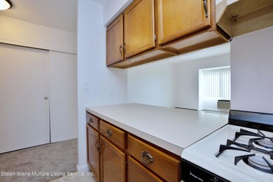 Photo Mar 17 2022, 10 38 39 AM