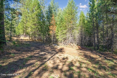 Lot 3 Amaze Way, Athol, ID 83801 - photo 7