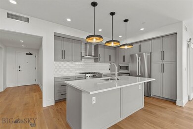 315 N Tracy Ave unit 502, Bozeman, MT 59715 - photo 4