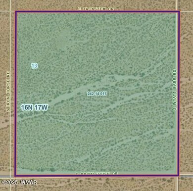 17277 S Wyatt Earp Rd, Lake Havasu City, AZ 86401 - photo 2