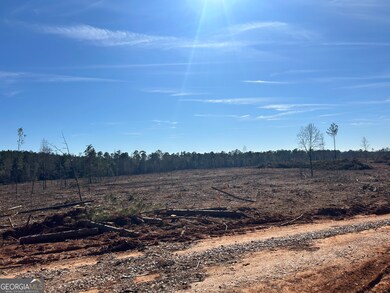 0 McGhee Rd unit 10453026, Sparta, GA 31087 - photo 3