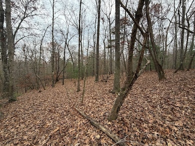 454R Joliet Dr, Ellijay, GA 30540 - photo 5