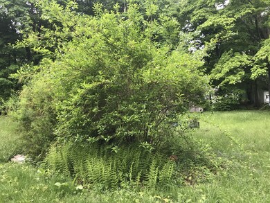 171 Union St, Ashland, MA 01721 - photo 6