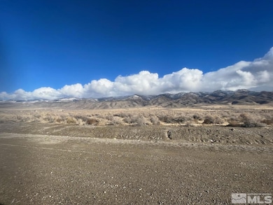 22120 Summerview Dr, Lovelock, NV 89419 - photo 6