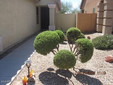 Front Yard Landscaping