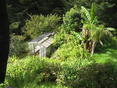 Redwood/glass greenhouse