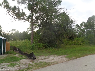 840 Naples Ave S, Lehigh Acres, FL 33974 - photo 2